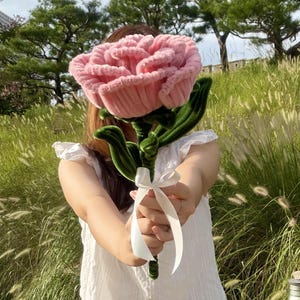 Könnte beinhalten: Eine große, plüschige, hellrosa Blume mit texturierten, samtigen Blütenblättern und einem dunkelgrünen Stiel mit passenden grünen Blättern. Der Stiel ist mit einem dunkelgrünen Material umwickelt und mit einer weißen Schleife gebunden.