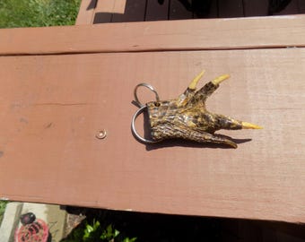 Real alligator claw key ring