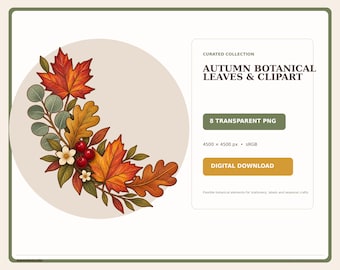PNG-Bundle mit Herbstblättern, 8 botanische Herbst-Cliparts, Eichelpilz-Download