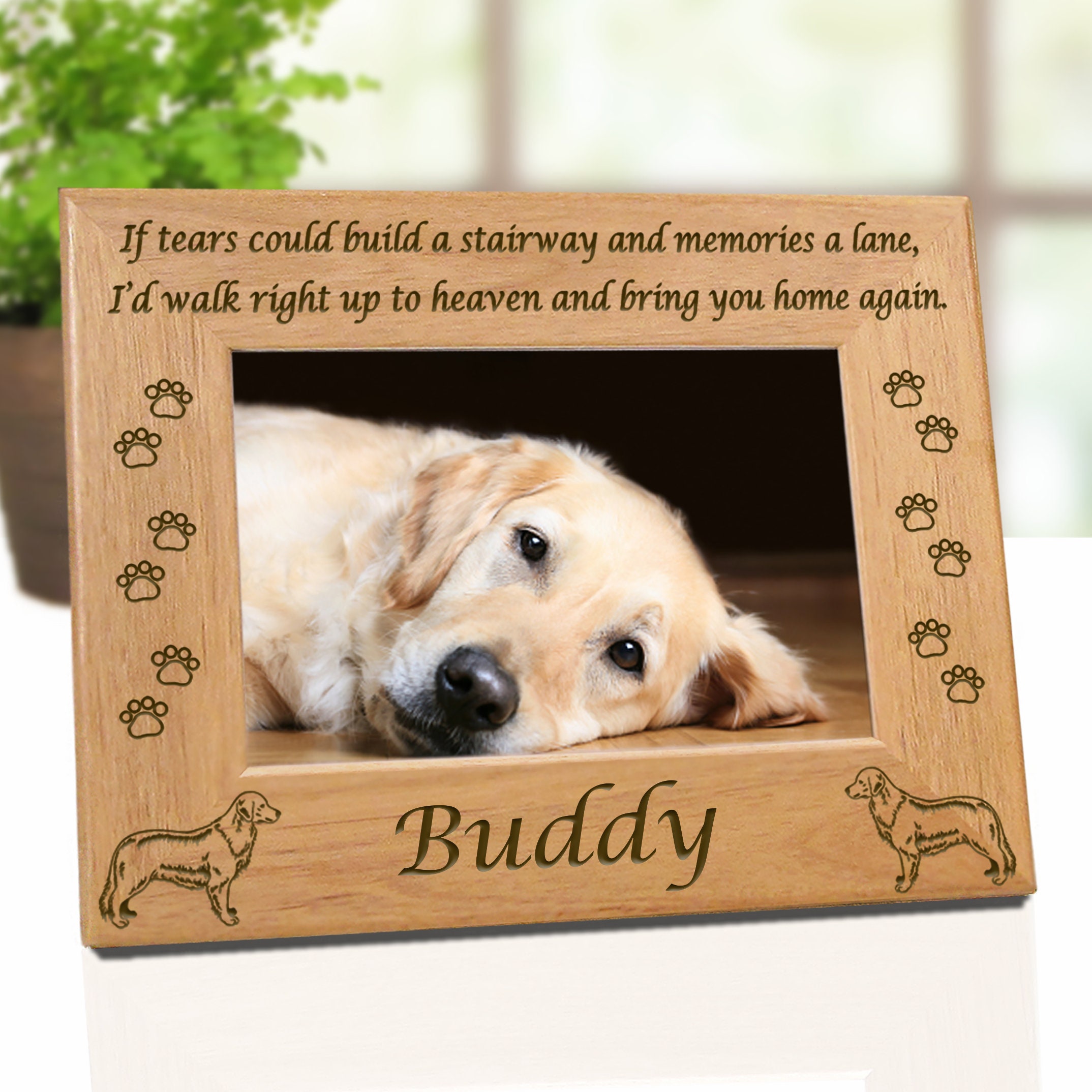 Cornice per foto Golden Retriever, cornice incisa, cornice