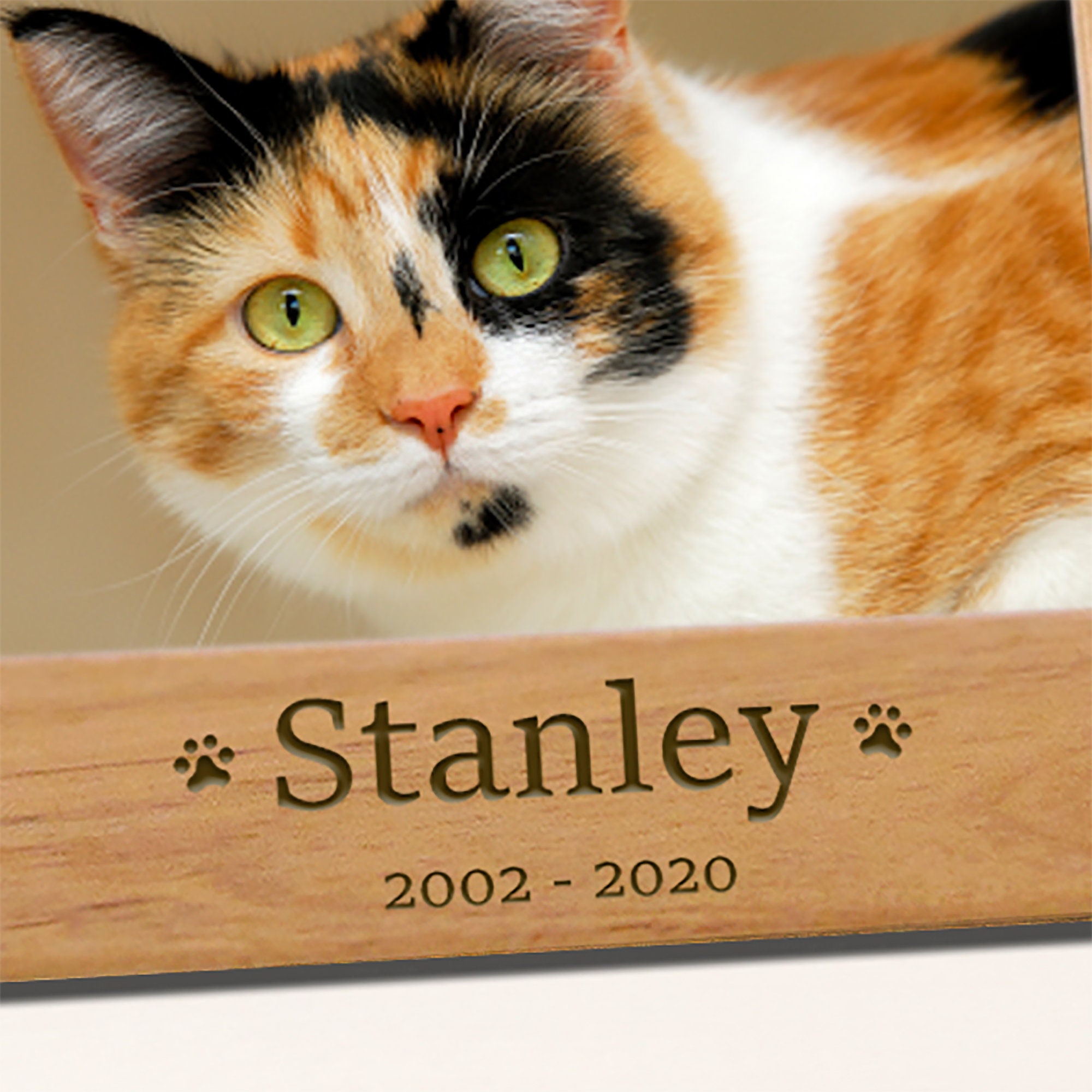 Sympathy Picture Frame Cat Loss Memorial Gift Cat Memorial Picture ...