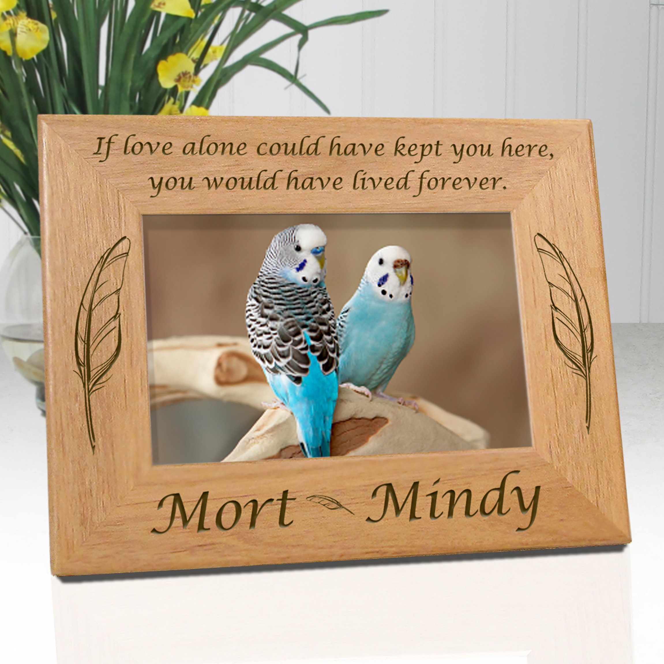 4x6 Death of Parrot Frame Bird Loss Pet Loss Idea Bird - Etsy