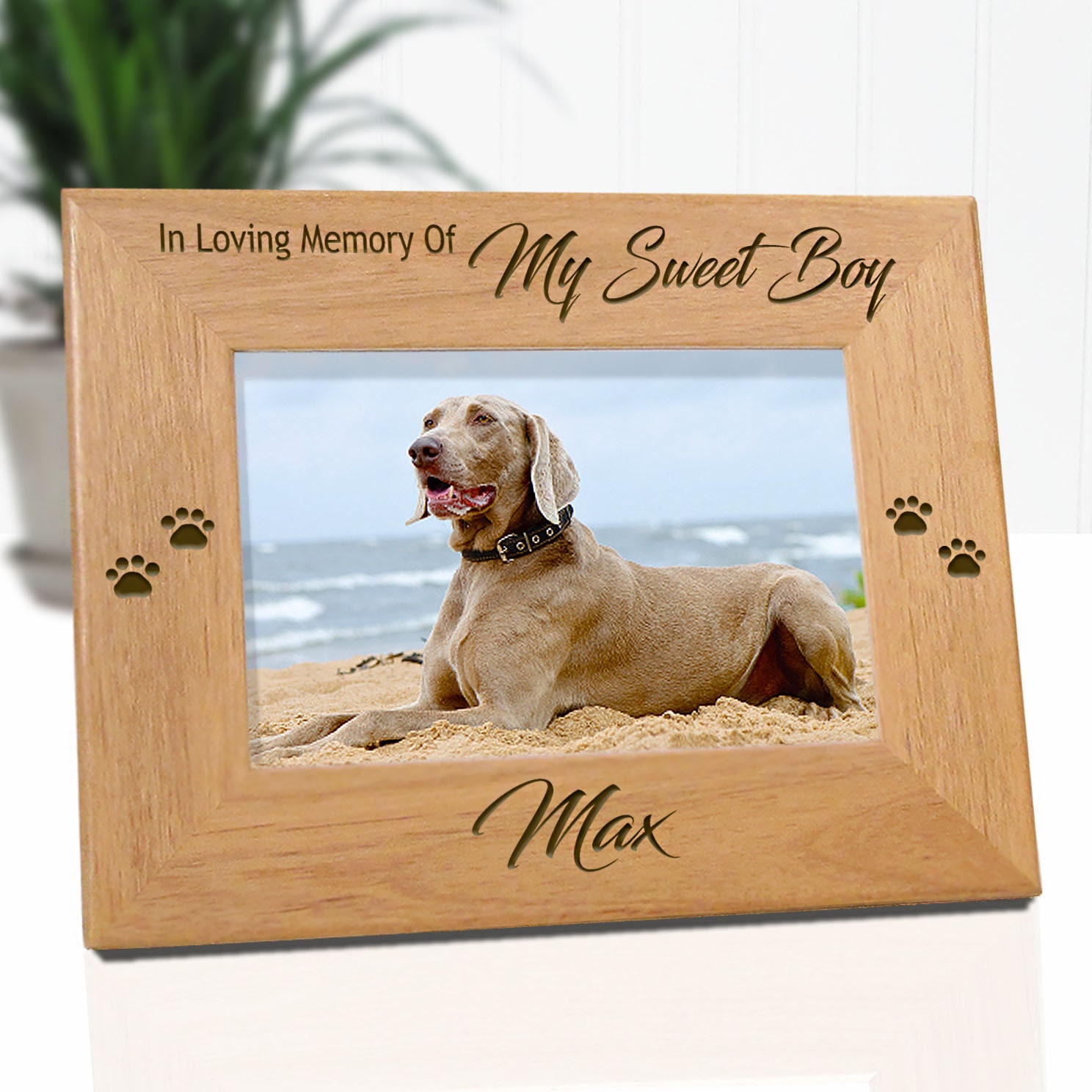 Pet Loss Dog Memorials Loss Of Pet Picture Frames Pet Etsy