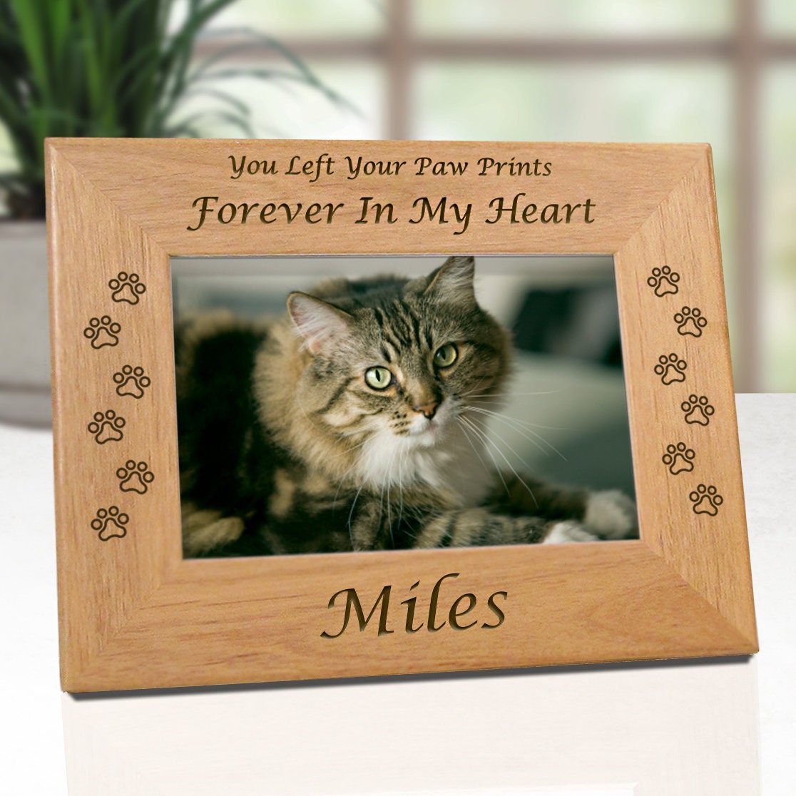 Custom Cat Frame Pet Memorial Frame In Memory Of Cat Etsy