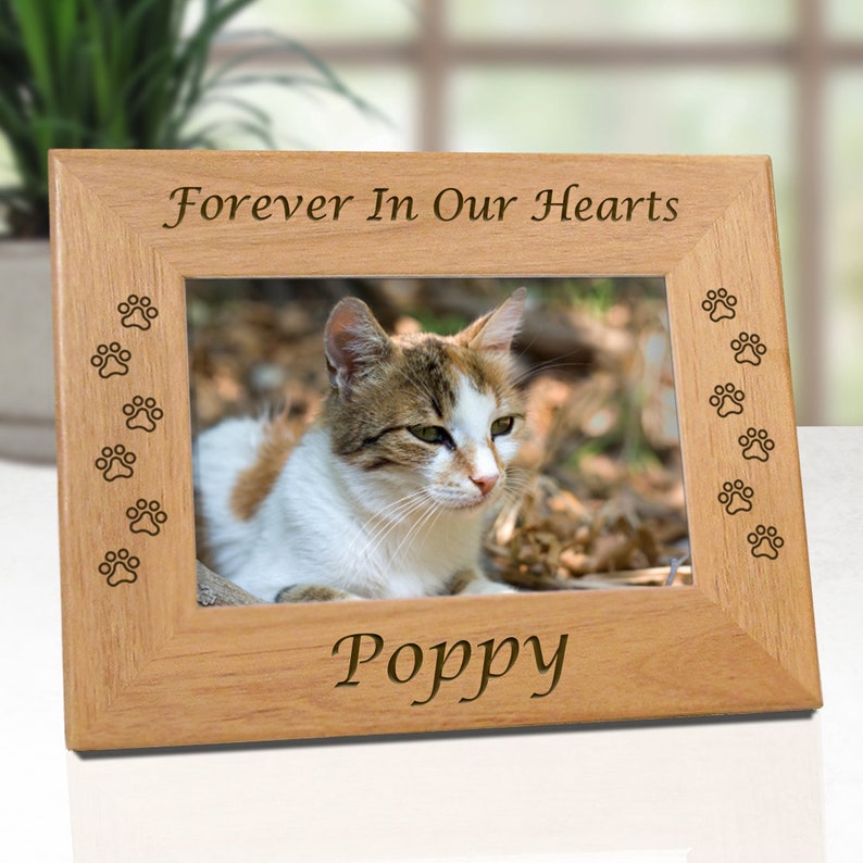 Cat Memorial Frame, Pet Loss Gifts, Cat Picture Frame, Picture Frames, Pet Memorial Frames, Cat Frame, Cat Remembrance, Cat Frames, Cat image 3