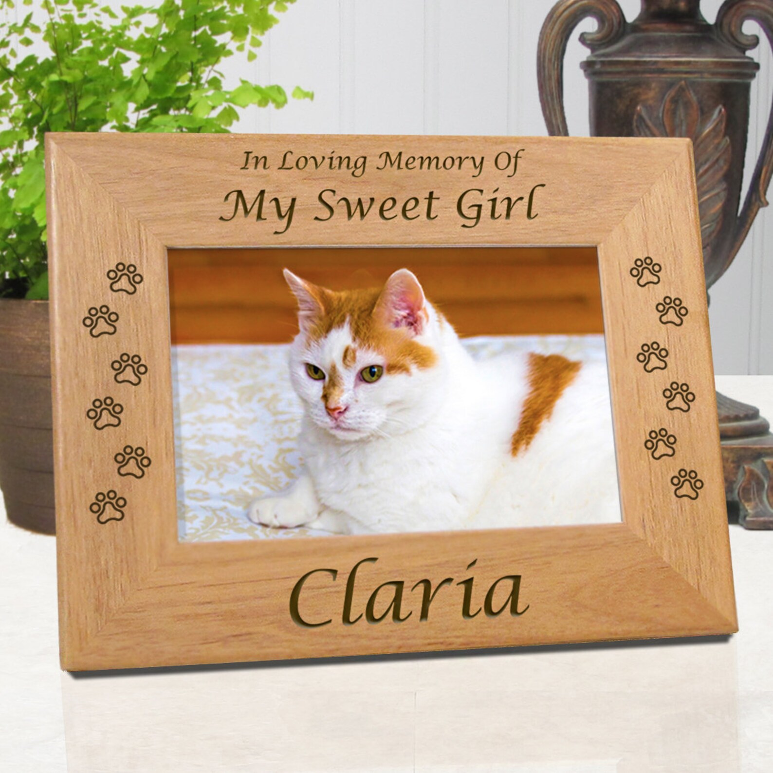 Pet Memorial Frames Cat Frame Cat Remembrance Cat Frames Etsy
