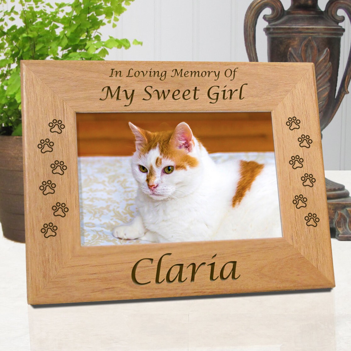 Pet Memorial Frames Cat Frame Cat Remembrance Cat Frames Etsy