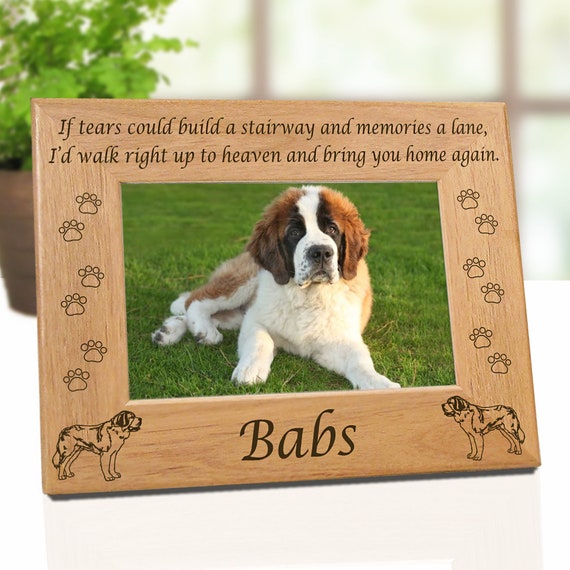 St bernards sale gift shop