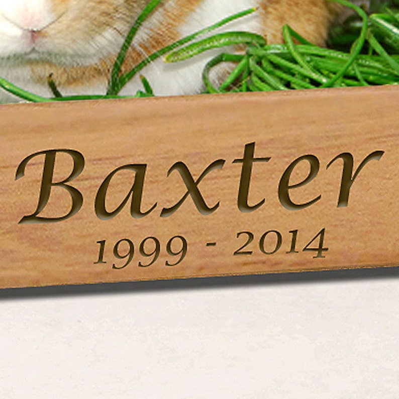 Rabbit Memorial Rabbit Gift Bunny Memorial Pet Rabbi Etsy