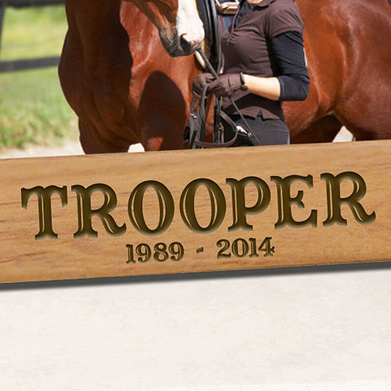 Picture Frame for Horses Personalized With Name Etsy
