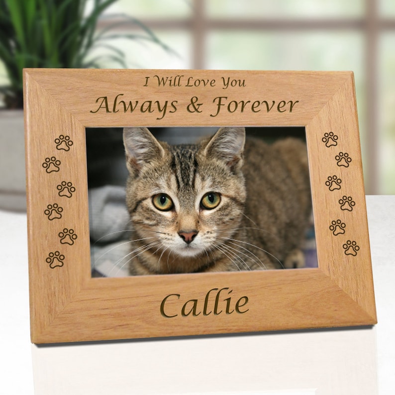Cat Memorial Frame Pet Loss Gifts Cat Picture Frame Picture Etsy