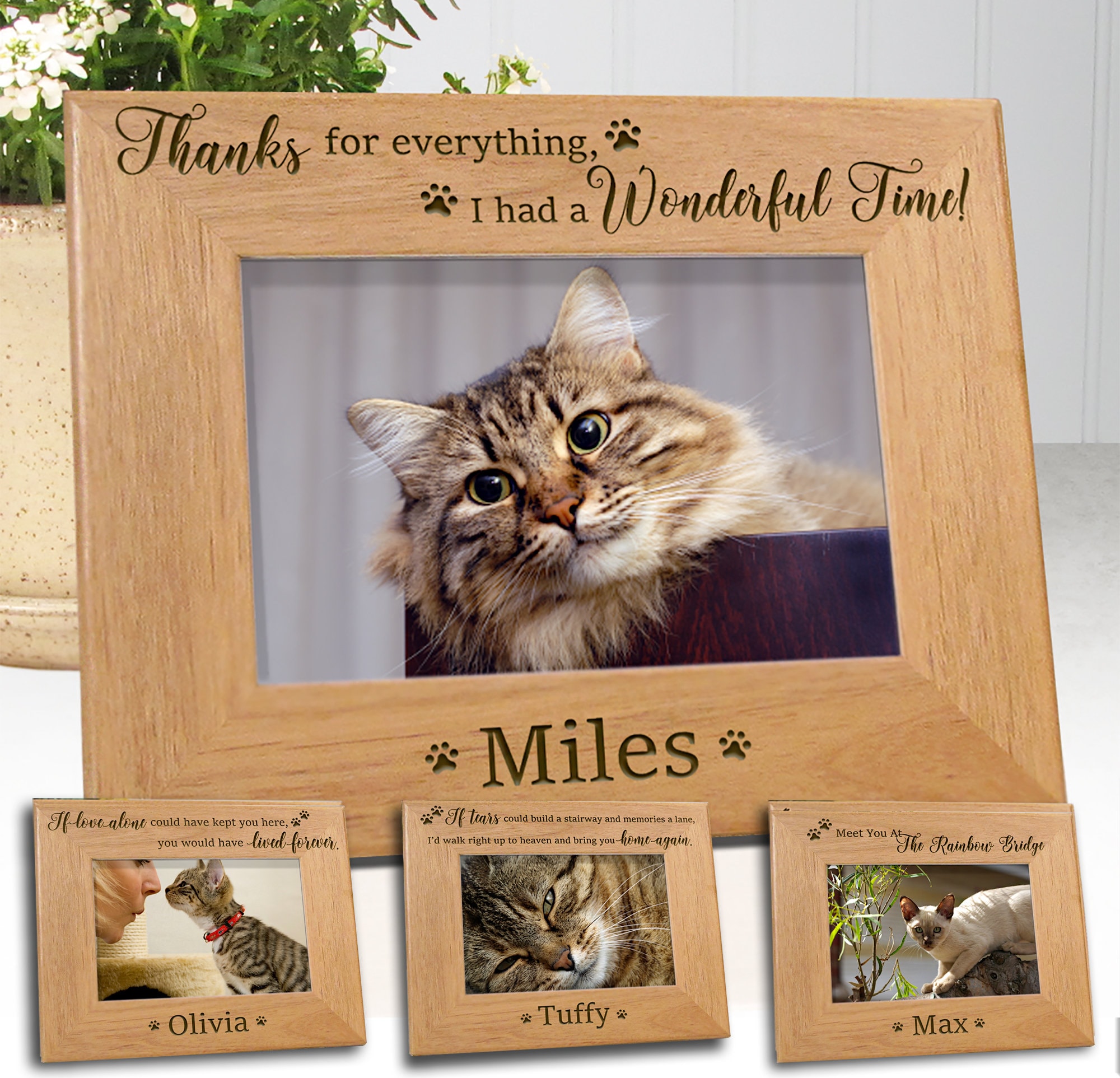 4x6 Personalized Cat Memorial Picture Frame Choice Of 5 Etsy 4x6 Personalized Cat Memorial Picture Frame Choice Of 5 Etsy