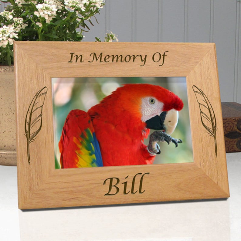 Pet Memorial Pet Loss Pet Loss Gift Bird Birds Bird Lover Etsy