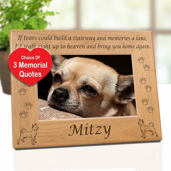Chihuahua memorial 2025