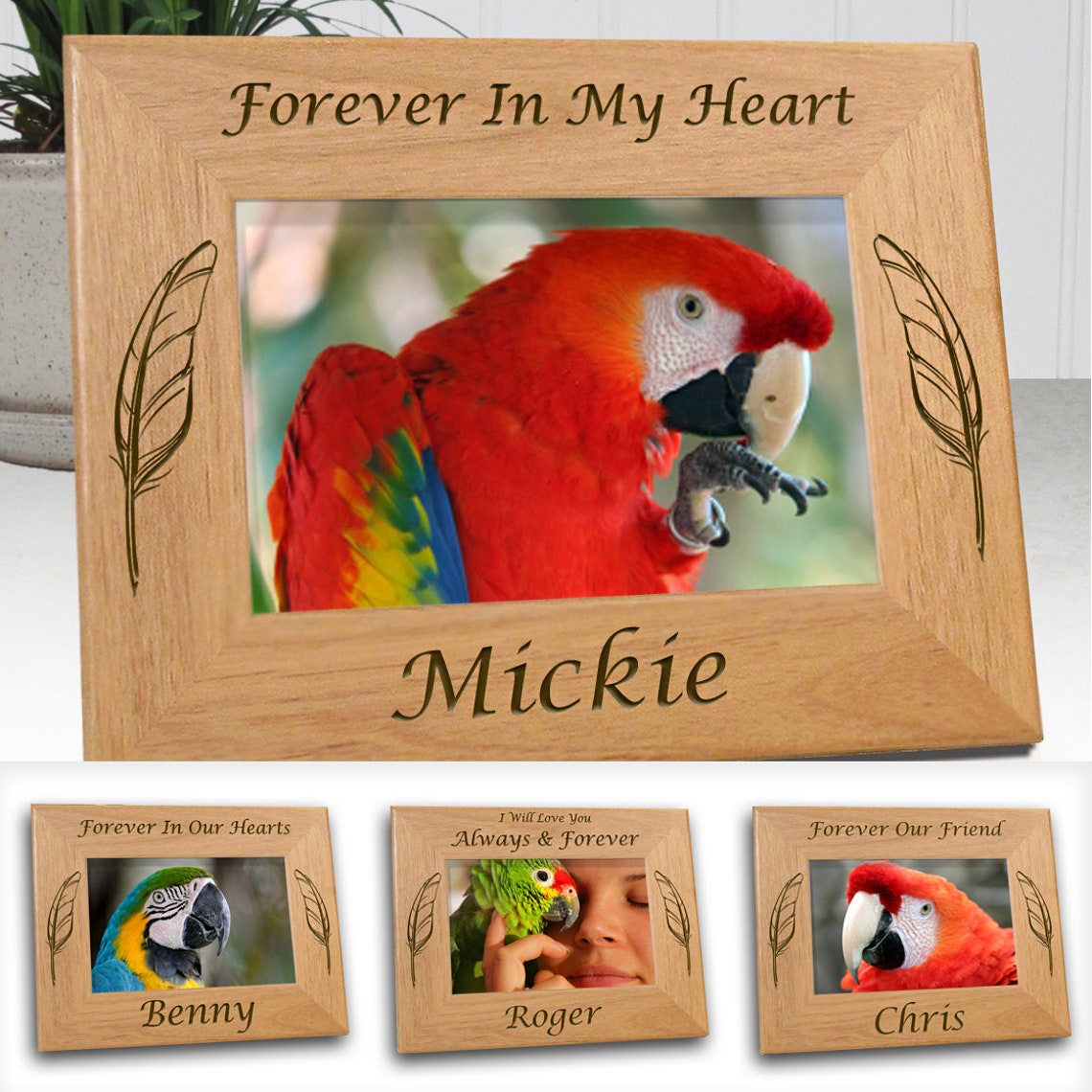 Bird Memorial Photo Frame Parrot Parakeet African Grey Etsy