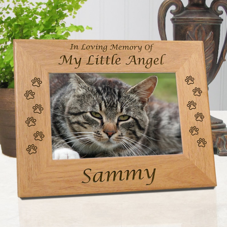 Cat Picture Frame Frames Pet Memorial Image 0