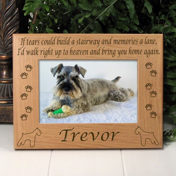 What Size Crate Is Best For A Miniature Schnauzer