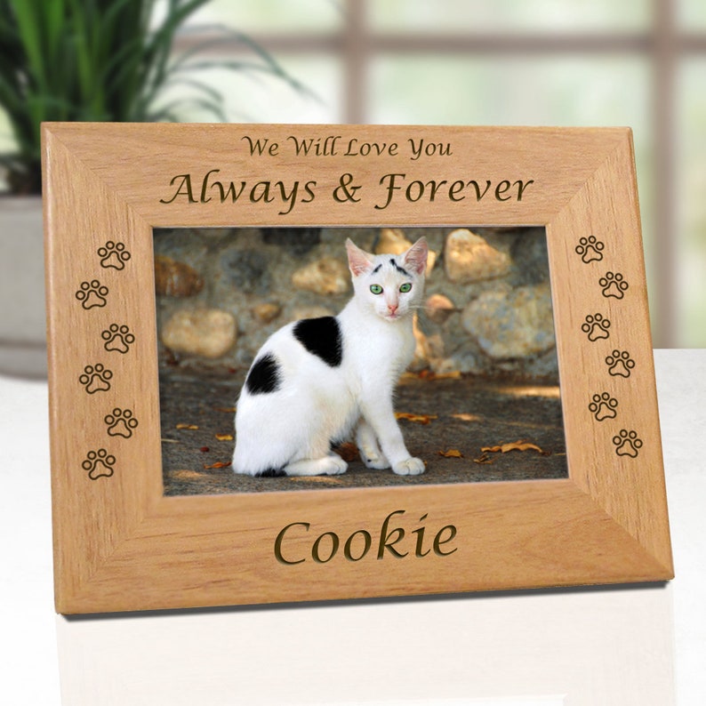 Cat Memorial Frame Pet Loss Gifts Cat Picture Frame Picture Etsy