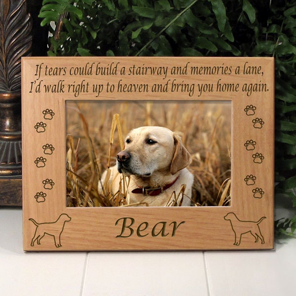 silver bow labradors