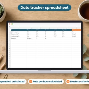 ABA Data Sheets spreadsheet shown on a laptop