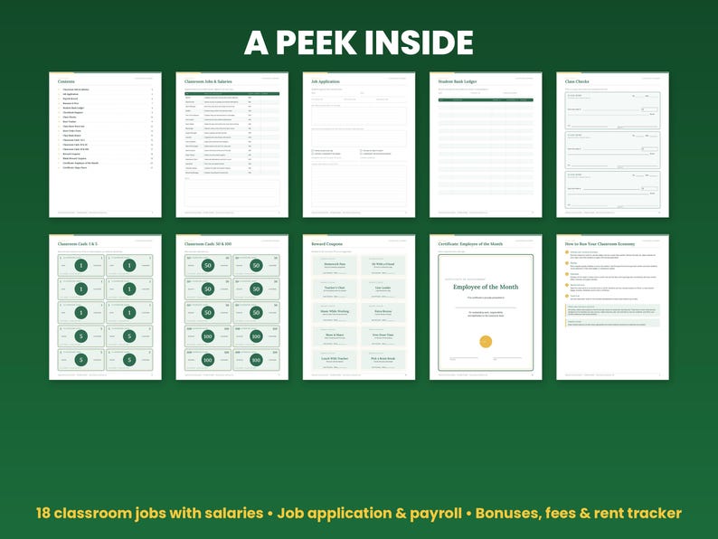 Preview grid of pages inside the classroom economy system