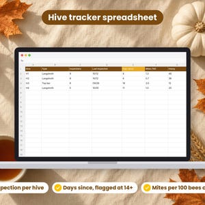Beekeeping Hive Journal spreadsheet shown on a laptop