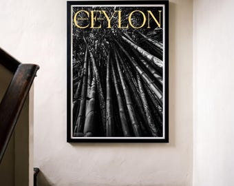 Hatton Bamboo Forest Print — Black and White Sri Lanka Photography | Nature Wall Art, Ceylon Archive – Listening Grove