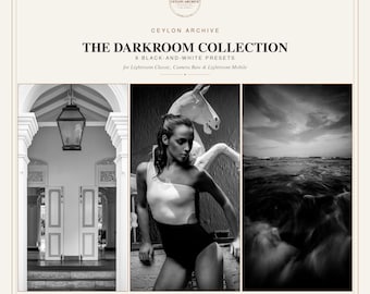 Black and White Lightroom Presets | 8 BW Film Noir Darkroom Presets for Portrait Photography | Desktop and Mobile | Ceylon Archive
