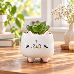 May include: A white ceramic planter shaped like a cat with small pink-tipped ears and feet. The front features a black line-art face with closed eyes, whiskers, and a small nose, containing a green succulent plant with thick, layered leaves.