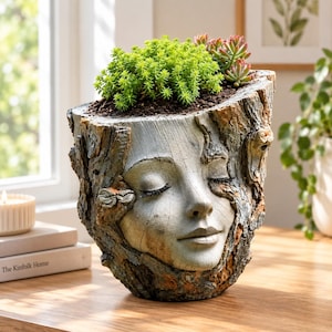 May include: A cylindrical planter shaped like a tree trunk with a human face sculpted into the front. The exterior features textured bark details in shades of gray and brown. The planter contains a bright green succulent plant with small leaves.