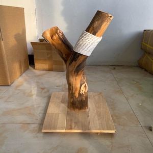 Puede incluir: Un rascador para gatos de madera natural con una rama en forma de Y montada sobre una base cuadrada de madera. La rama tiene un acabado liso y pulido con vetas visibles y una cuerda blanca gruesa enrollada en uno de los brazos superiores.