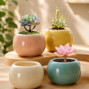 4-Piece Mini Ceramic Planter Set | Round Pastel Succulent Pots | Small Glossy Flower Pots for Desk Decor | PLANTS NOT INCLUDED