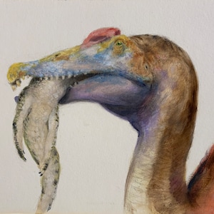 Spinosauro che divora un Sarcosuchus subadulto, dipinto a olio originale incorniciato su pannello illustrativo 6"x8", la cornice misura 7,50"x9,50", arte sui dinosauri