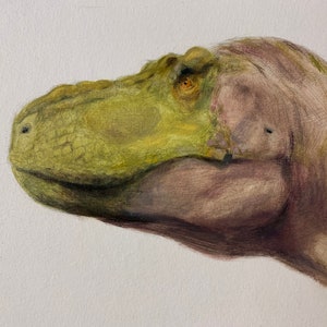 T. Rex, dipinto a olio originale incorniciato su pannello illustrativo 6"x8", cornice 7,50"x9,50", belle arti, arte dei dinosauri, arte paleo, Tyrannosaurus Rex