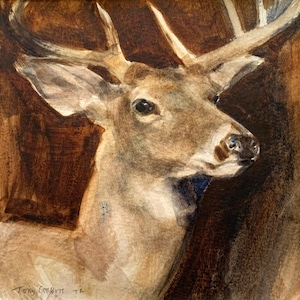 Busto di cervo, natura morta, dipinto ad acquerello originale incorniciato su carta per acquerello 4,5"x4,5", la cornice è 9,25"x9,25", arte animale, belle arti