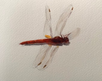 Écumoire de Needham, encadrée, aquarelle originale sur papier aquarelle 4 x 6 po, cadre 5 x 7,25 po, beaux-arts, art libellule