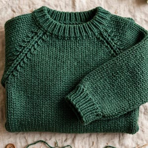 May include: A forest green long-sleeve sweater featuring a chunky knit texture, a ribbed crew neckline, and ribbed cuffs. The garment displays a distinct raglan sleeve construction with decorative braided detailing along the shoulder seams.