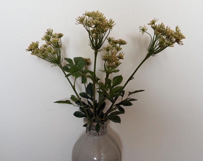 Bishops flower, sold per stem.
