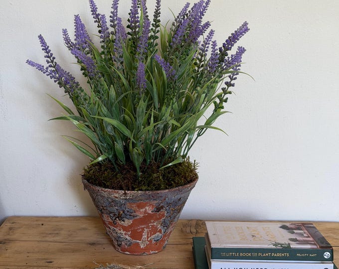 Artificial Lavender Plant in Aged Terracotta Pot