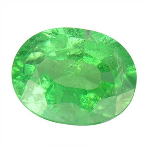 Rare Green Kornerupine Gemstone 7.35 x 5.72 MM Oval Shape 1.20 Carat Umba Tanzania image 2