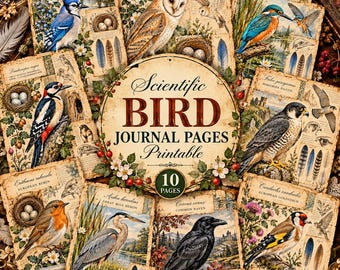 Vintage Ornithology Bird Journal Pages, Nature Field Guide Printable (10 Pages)
