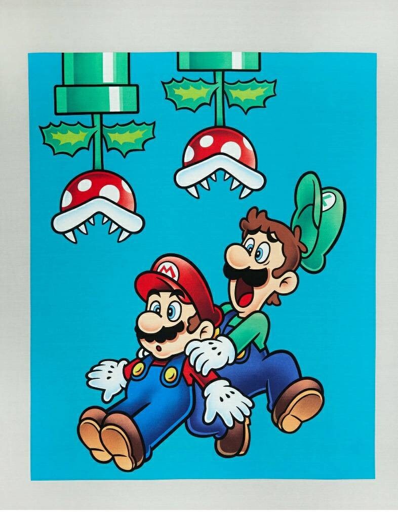 Nintendo Super Mario Mario Bros Jump 36