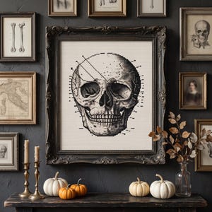 May include: A framed cross-stitch embroidery featuring a detailed black and white human skull design. The artwork is displayed in a dark, ornate wooden frame, showcasing intricate needlework patterns that form the anatomical structure of the skull.