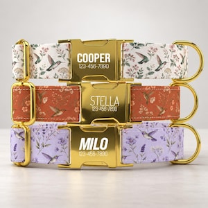 May include: Three pet collars with gold-tone metal buckles. The top collar is white with hummingbirds and flowers, engraved with COOPER 123-456-7890. The middle is rust-orange with hummingbirds, engraved with STELLA 123-456-7890. The bottom is lavender with hummingbirds, engraved with MILO 123-456-7890.