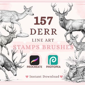 157 Procreate Deer Line Art Stamp Brushes, Wildlife Illustration Set (Digital Download)