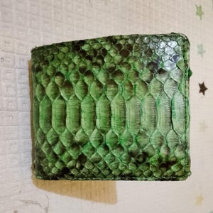 May include: A square bifold wallet featuring a vibrant green snakeskin texture with dark brown shading between the scales. The exterior surface displays a repeating, overlapping scale pattern that covers the entire front panel of the accessory.
