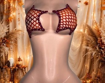 Può includere: Un completo intimo a due pezzi in tessuto a rete rosso scuro con piccole borchie argentate lungo i bordi. Il top è composto da due coppe separate collegate da spalline in plastica trasparente, e lo slip è un perizoma abbinato con spalline.