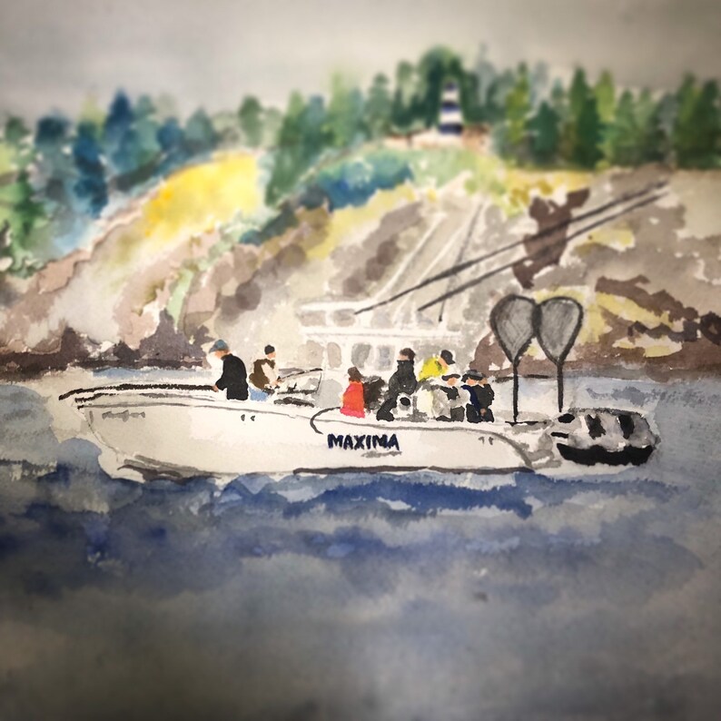Op de afbeelding: Een aquarel van een wit boot met het woord "MAXIMA" aan de zijkant. De boot ligt in het water en er zijn mensen aan boord. De boot ligt voor een groene heuvel met een vuurtoren op de top.