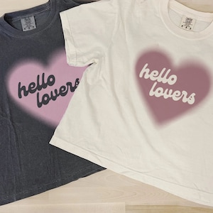 Comfort Colors Niall Horan Crop Top, Niall Horan Vintage Shirt, Y2K Shirt, Hello Lovers Shirt, Gift For Her