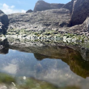May include: A rock pool situated between jagged, dark grey coastal rocks. The clear water reflects the sky and surrounding stone formations, while vibrant green algae clings to the damp, textured surfaces of the rocks bordering the pool.